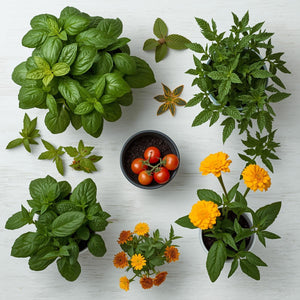 Top 5 Beginner-Friendly Plants for Young Gardeners