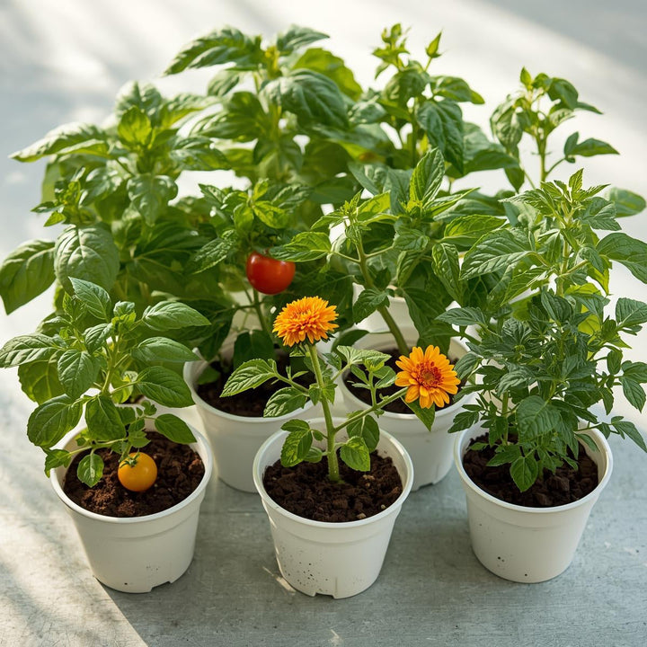 10 Essential Garden Maintenance Tips Every Beginner Should Know